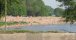 resIMG_20070527_1613a.jpg